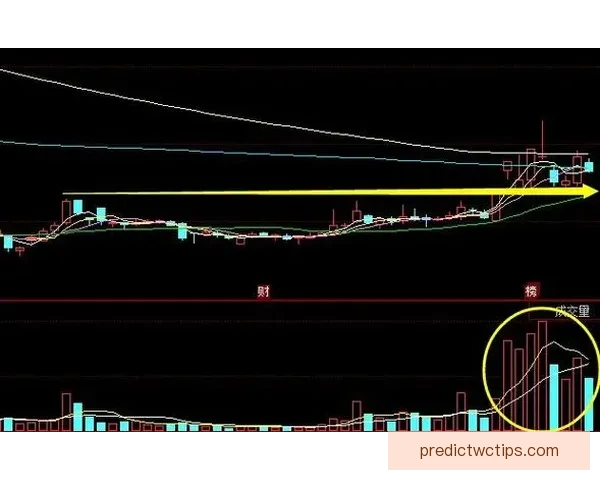 世界杯赛事深度盘口分析与精准竞猜策略全面解读