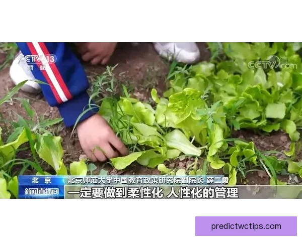 2026世界杯全球转播全景解析多平台覆盖与赛事观看新体验