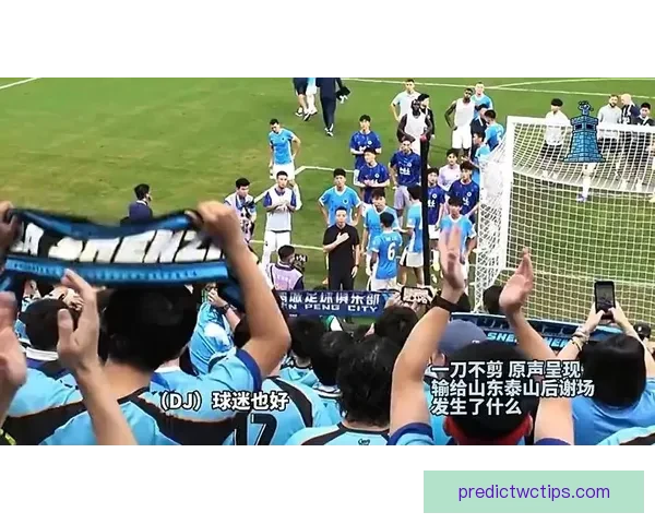 姜至鹏被撤销队长职务赛后怒斥球迷引争议新鹏城公开致歉严肃处理